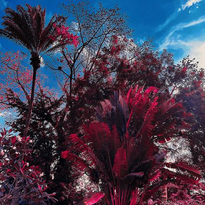 Alan Christopher Nadaud