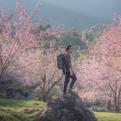 Napon Thiphayamontol