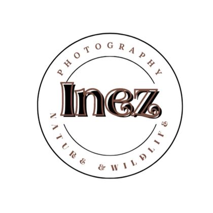 Inez Photography