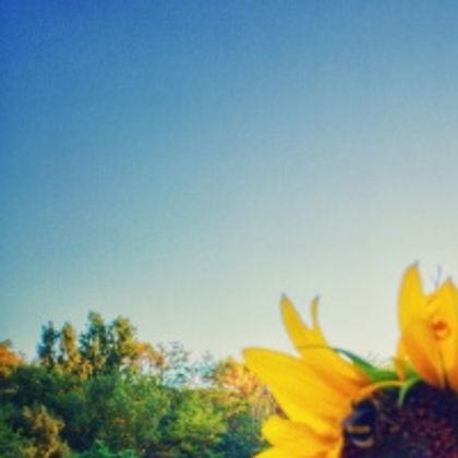 Manuel Hidalgo Muñoz