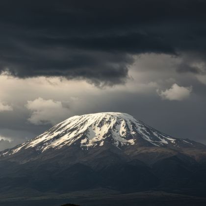 MOIZ HUSEIN STORYTELLER