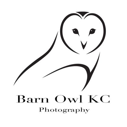 Barn Owl KC Photography