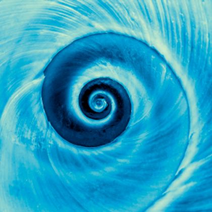 Juan Carlos Martínez Salvadores